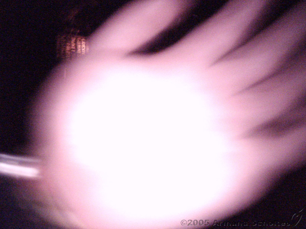 2005-05-05_Bevrijdingsdag_-_Bertine_wil_niet_op_de_foto.jpg
