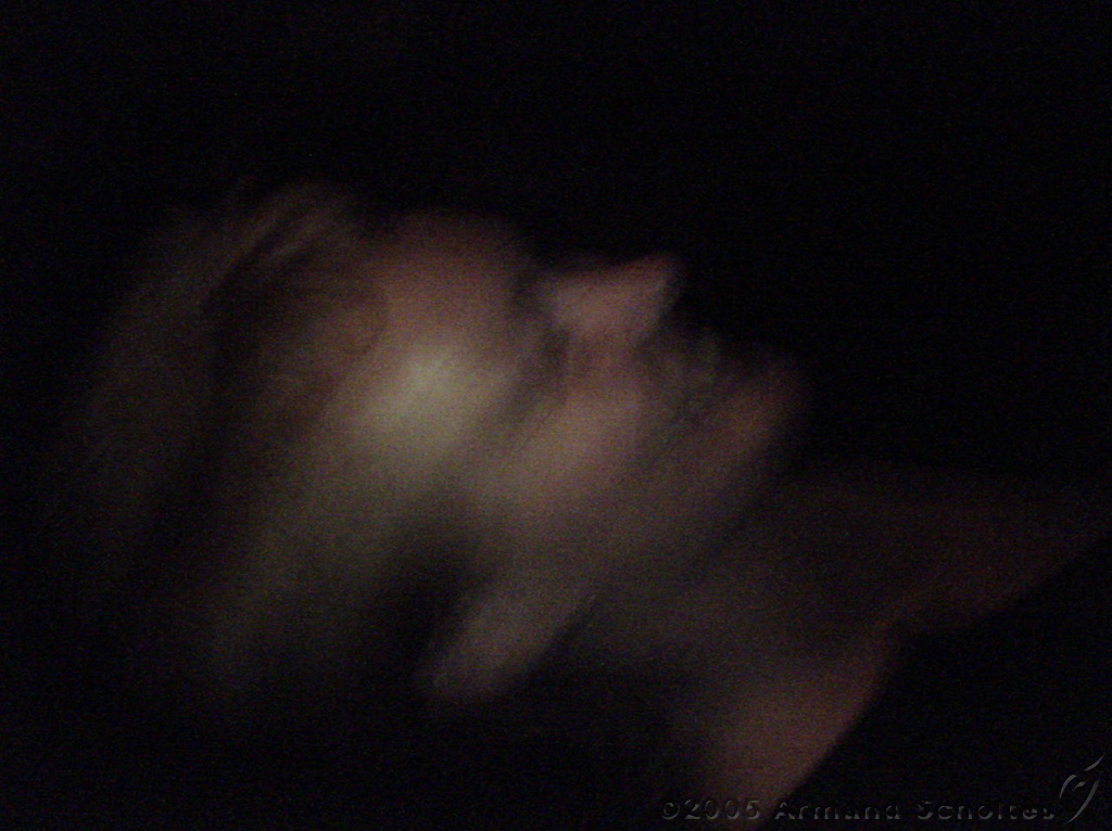 Midtown_na_Occultfest_~_02.jpg