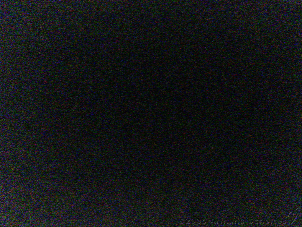 2005-06-12_MFT_Metal_Matinee___~_06.jpg