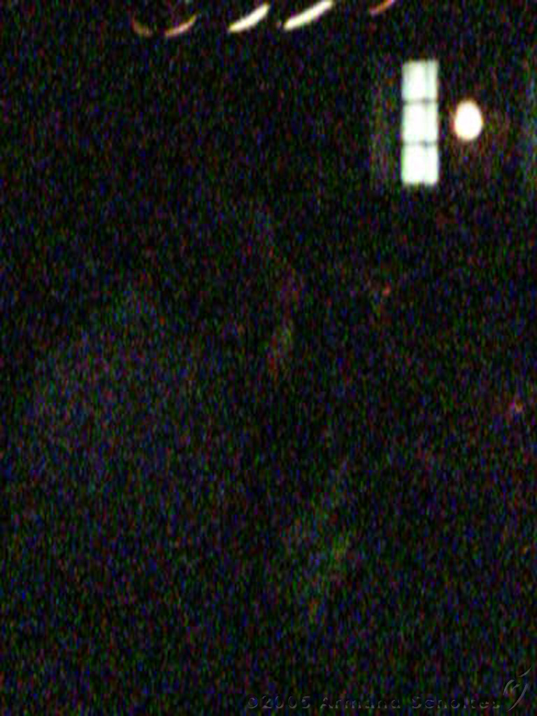 2005-06-12_MFT_Metal_Matinee___~_11.jpg