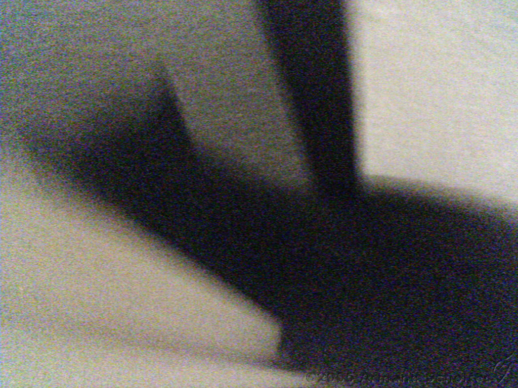 2005-07-04_Toto_~_05.jpg