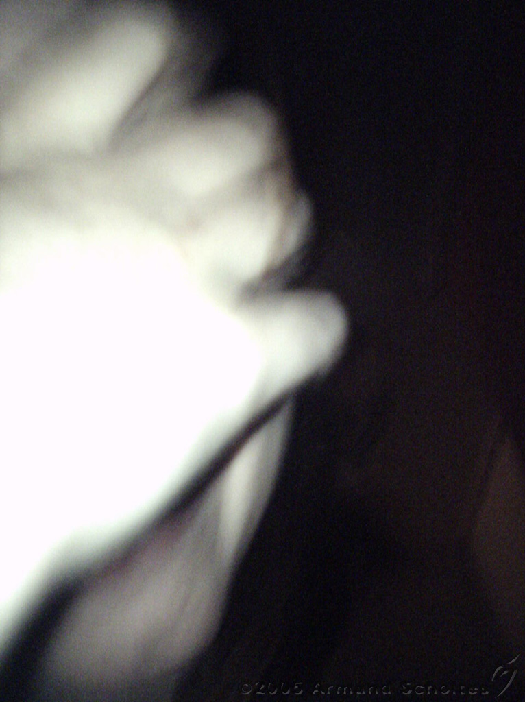 2005-10-22_Wil_niet_op_de_foto.jpg