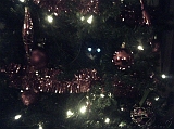 2005-01-02_Caressa_in_de_kerstboom_1