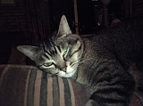 2005-01-02_Caressa_op_dankleuning