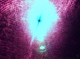 2005-02-27_Laserpointer_1