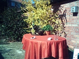 2005-04-02_Nina_in_tuin_Alida
