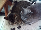 2005-08-23_Muts_&_Tootje