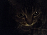 2005-11-09_Caressa