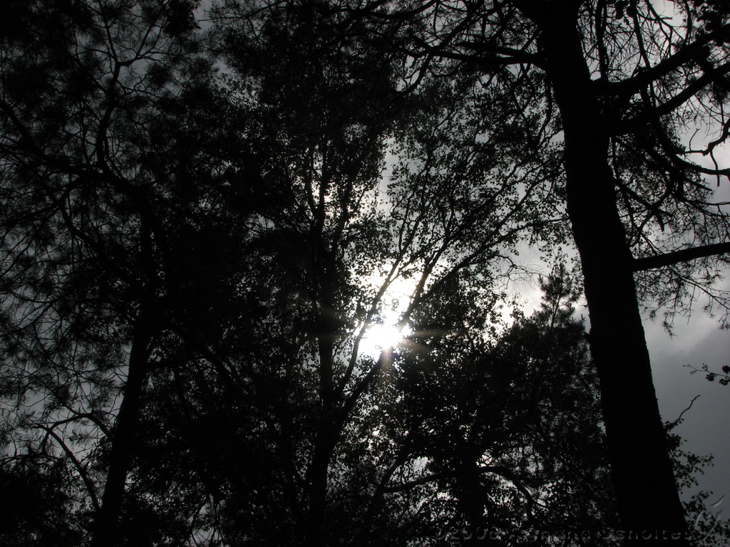 Holterberg_006.jpg