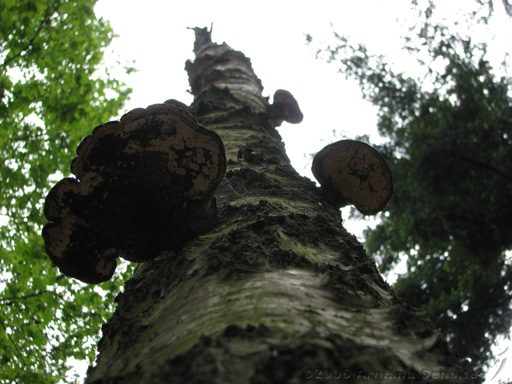 Holterberg_008.jpg