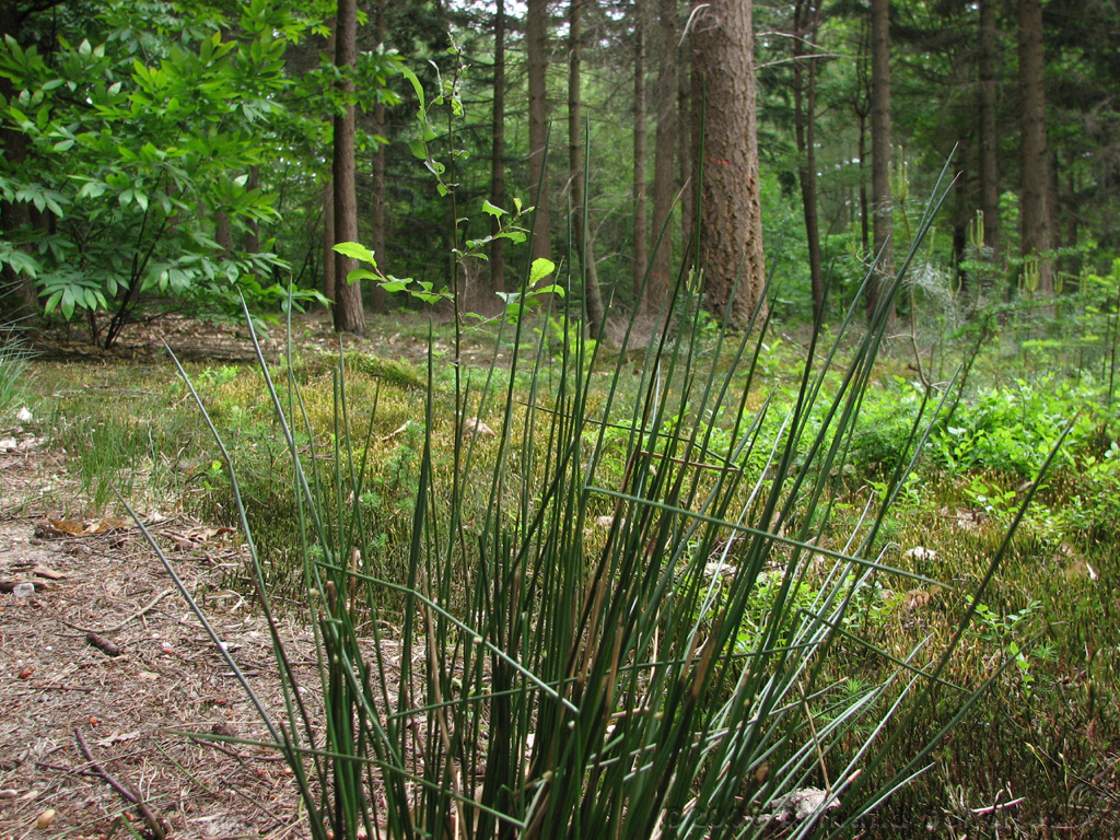 Holterberg_011.jpg