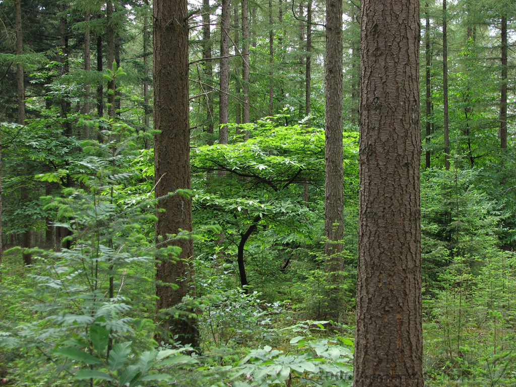 Holterberg_012.jpg