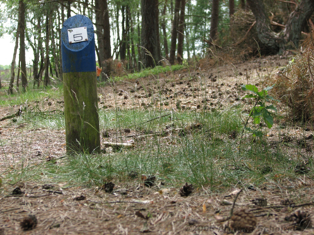 Holterberg_017.jpg