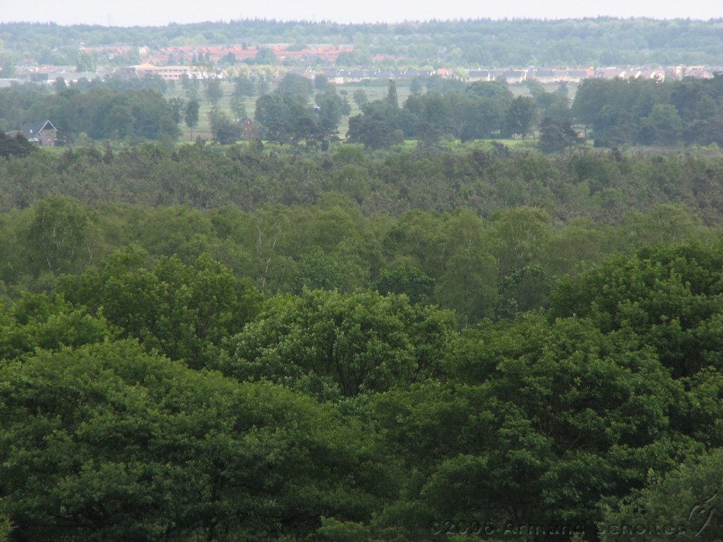 Holterberg_020.jpg