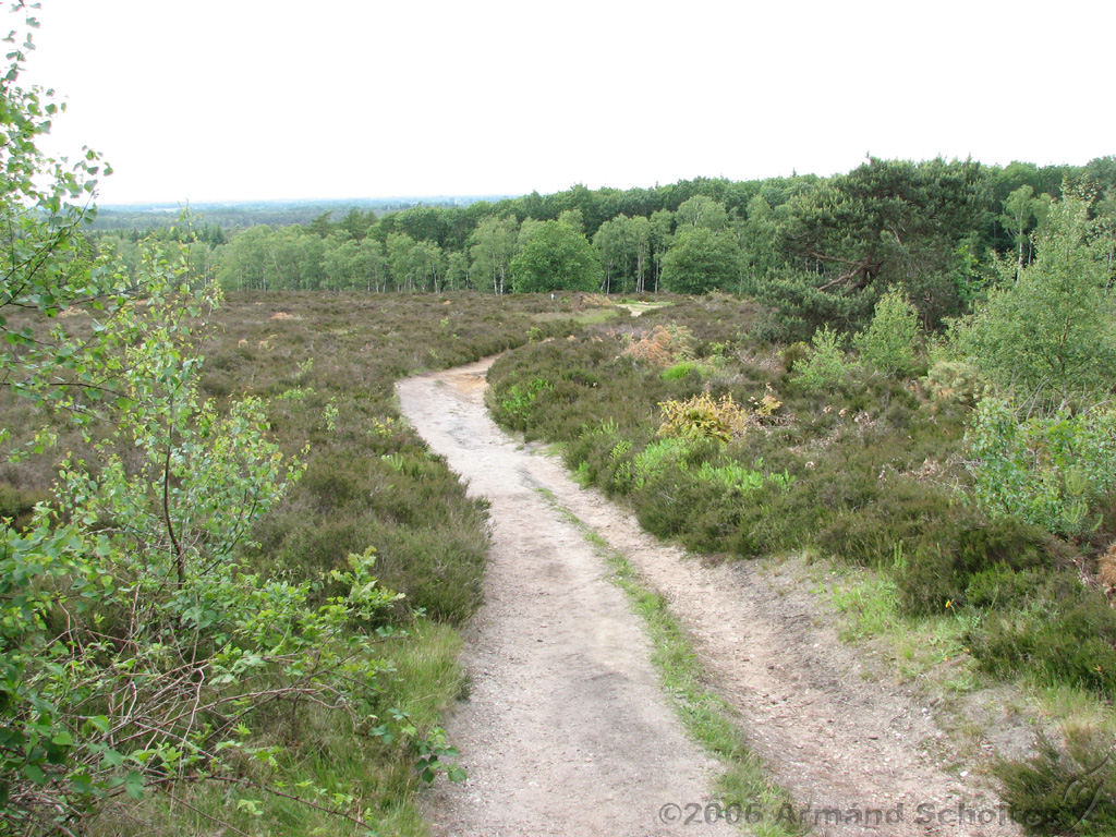 Holterberg_023.jpg