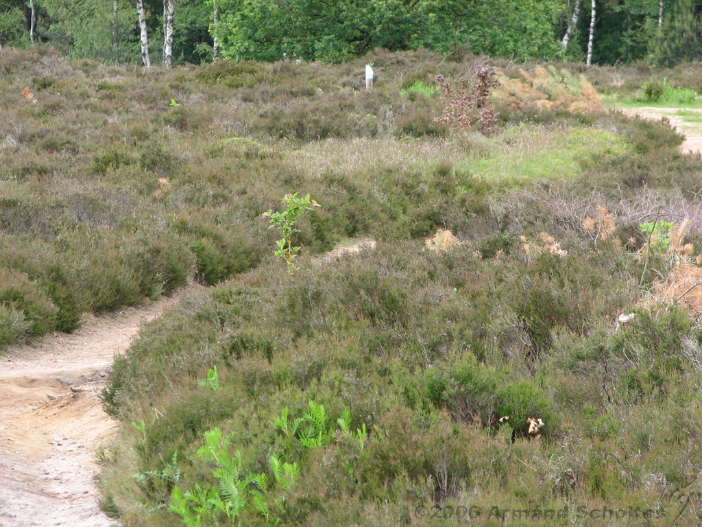 Holterberg_024.jpg
