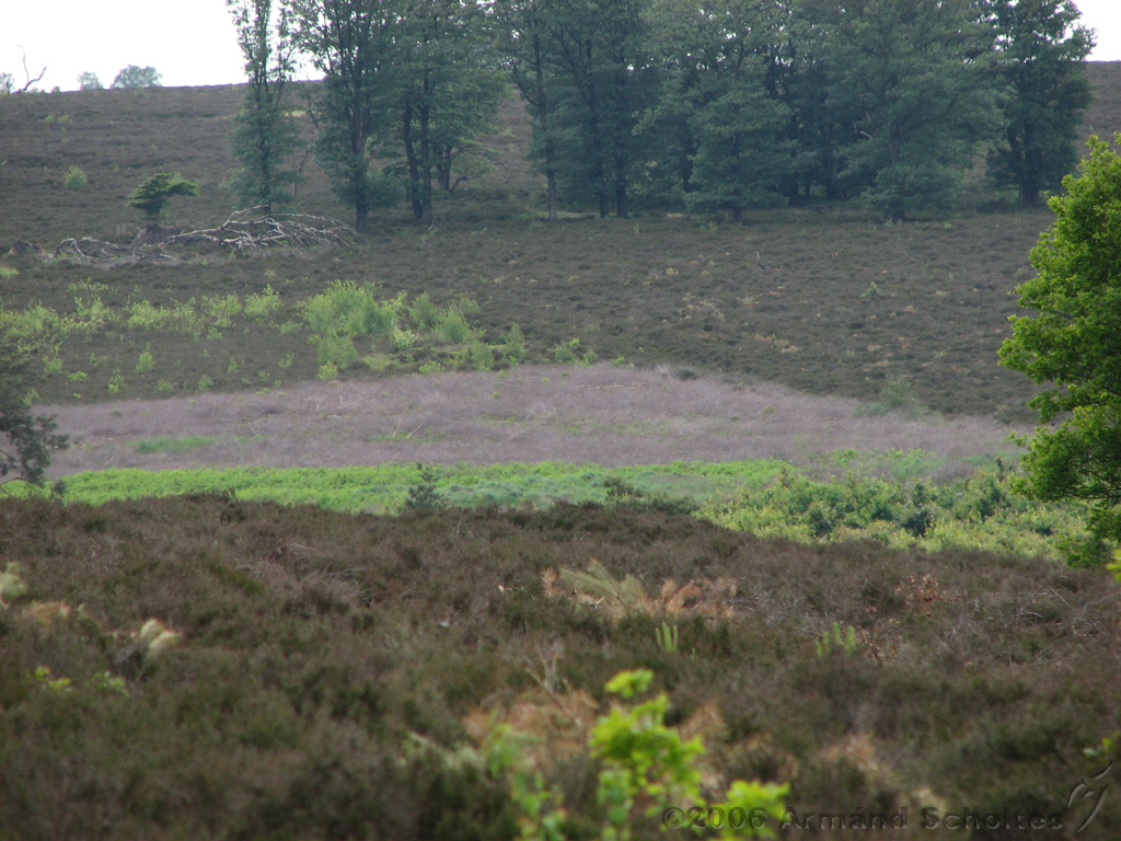 Holterberg_025.jpg