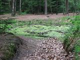 Holterberg_002