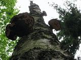 Holterberg_007
