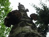 Holterberg_008