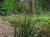 Holterberg_011