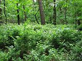 Holterberg_013