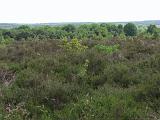 Holterberg_018