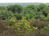 Holterberg_019