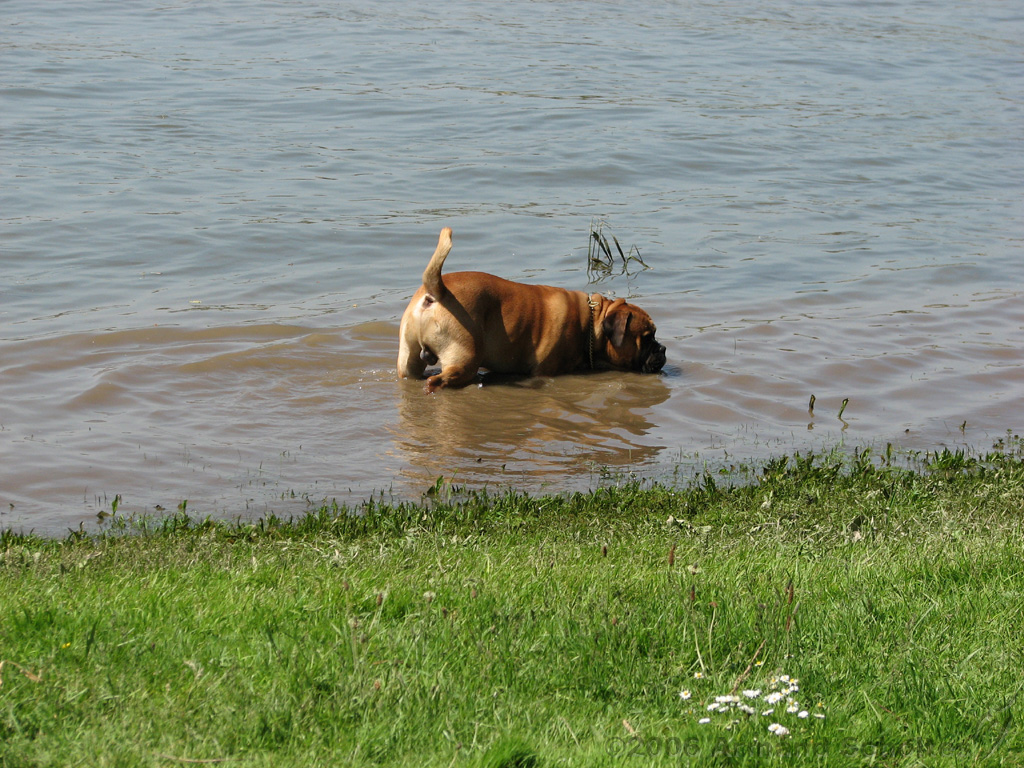 Brunchen_aan_de_IJssel_11.jpg