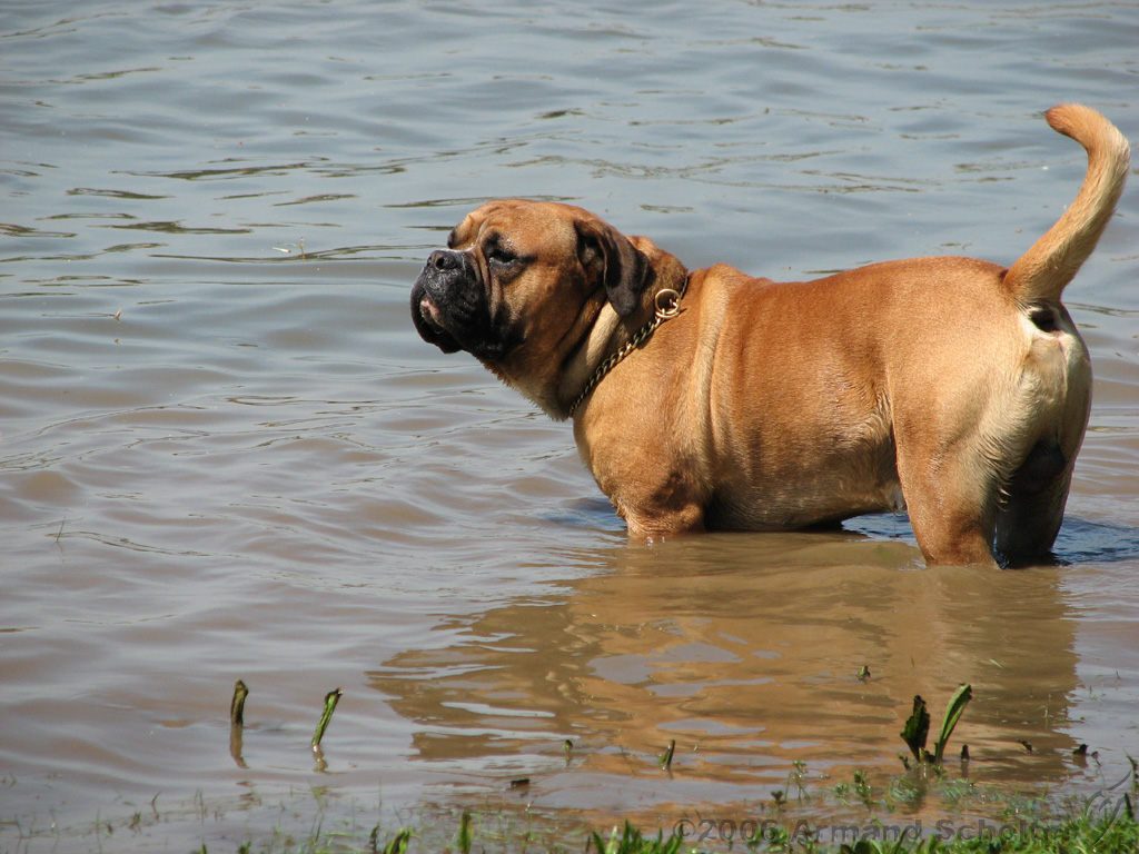 Brunchen_aan_de_IJssel_12.jpg