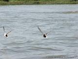Brunchen_aan_de_IJssel_09