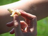 Brunchen_aan_de_IJssel_10