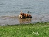 Brunchen_aan_de_IJssel_11