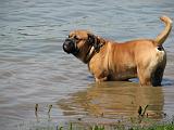 Brunchen_aan_de_IJssel_12