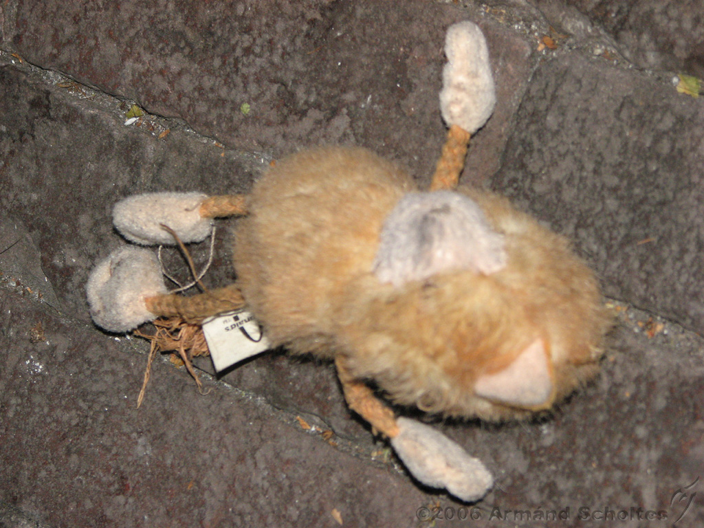CSI_Deventer_07.jpg