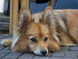 Freggel_13