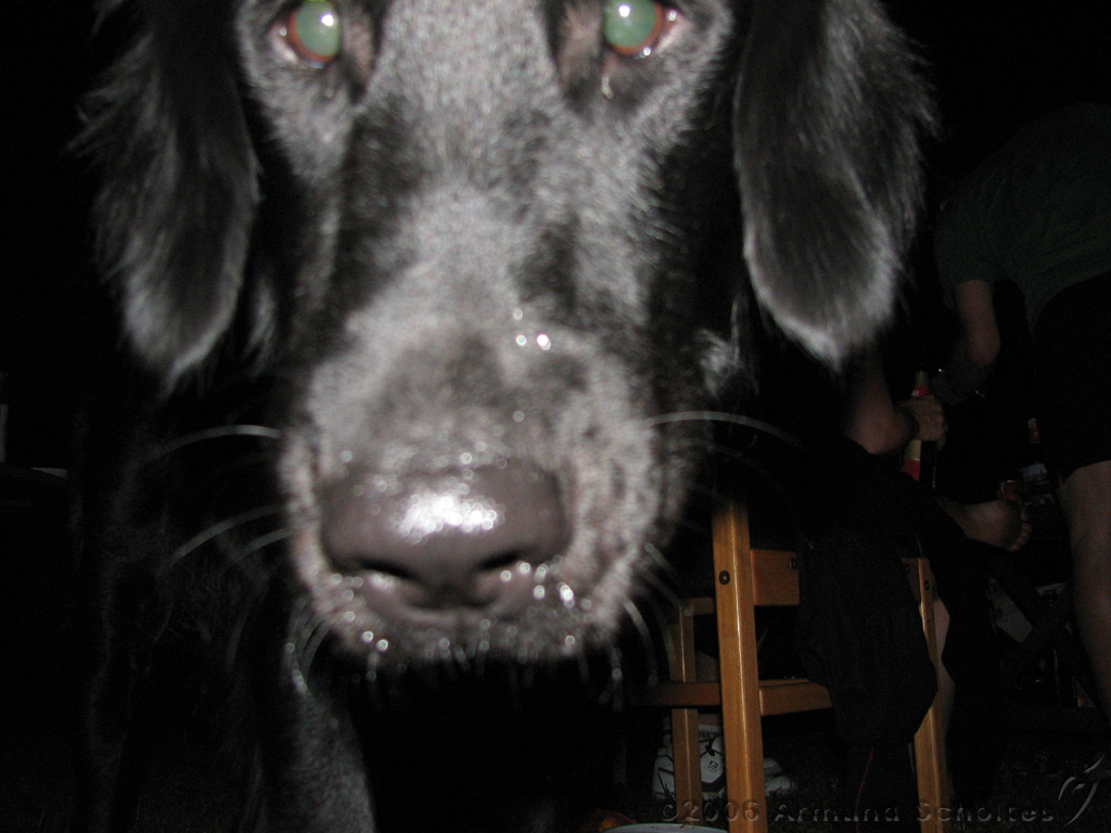 2006-07-21_Verjaardag_Frederik_022.jpg