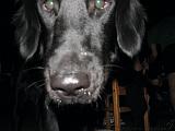 2006-07-21_Verjaardag_Frederik_022