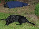 2006-07-21_Verjaardag_Frederik_030