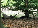 2006-07-21_Verjaardag_Frederik_040