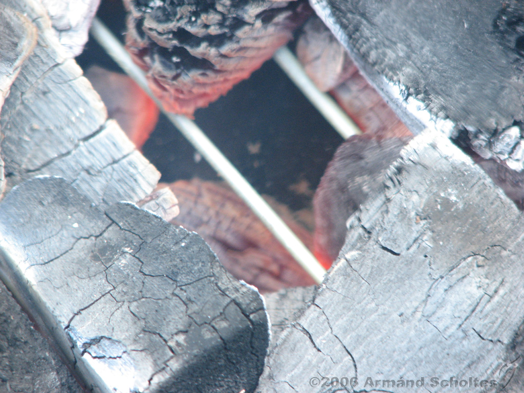 BBQ_@_Marit_08.jpg