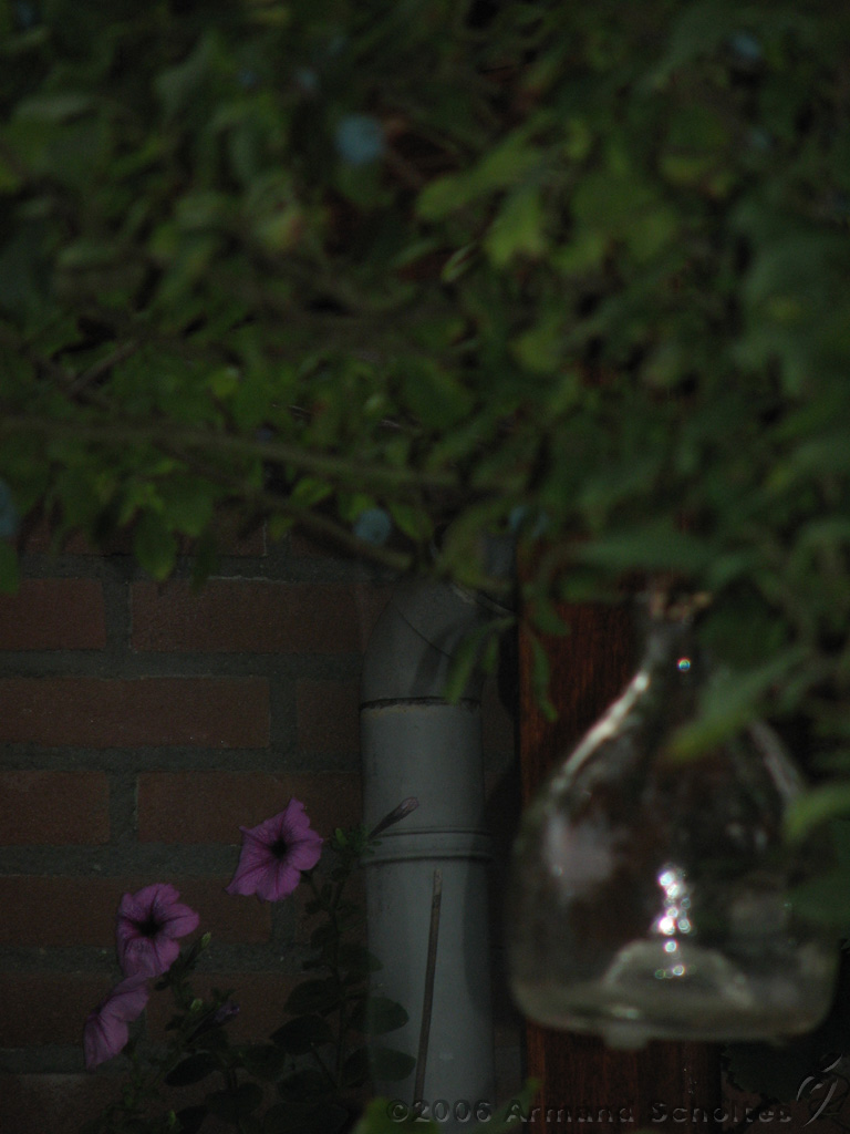 BBQ_@_Marit_46.jpg