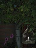 BBQ_@_Marit_46