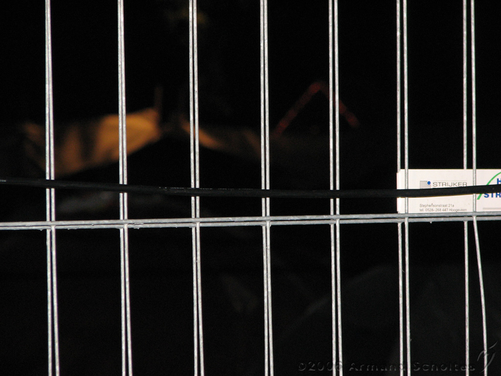 Occultfest_2006_381.jpg