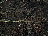 Bochum_-_ICT_Nokia_44