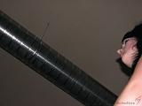 Metalnight_Walhalla_059