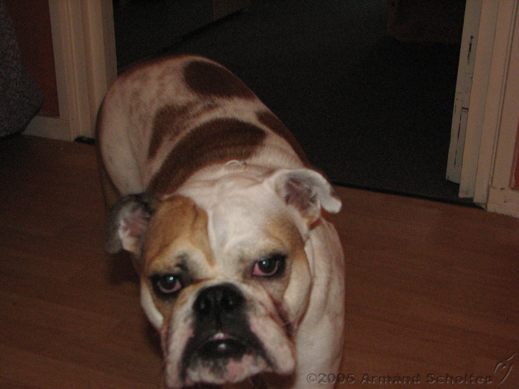 Wendy_-_Lucy_002.jpg