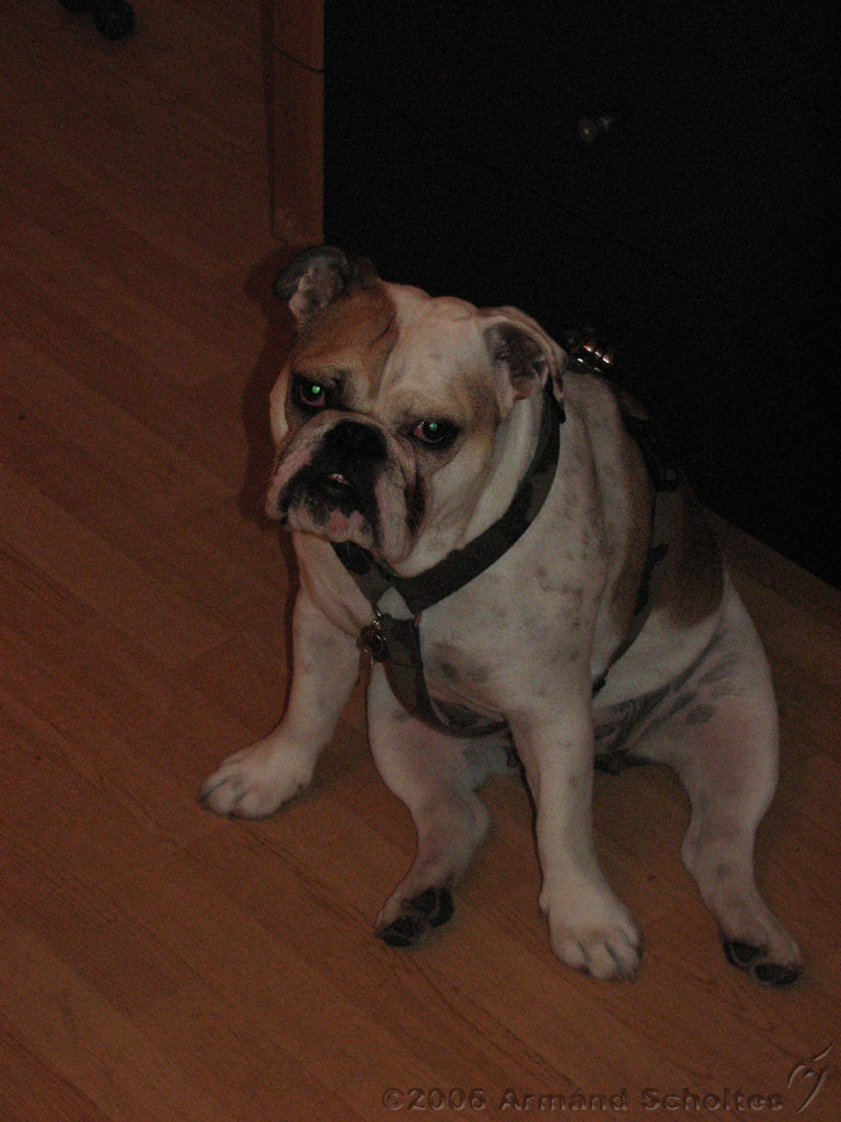 Wendy_-_Lucy_004.jpg