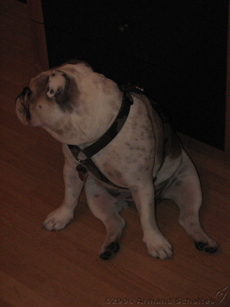 Wendy_-_Lucy_005.jpg
