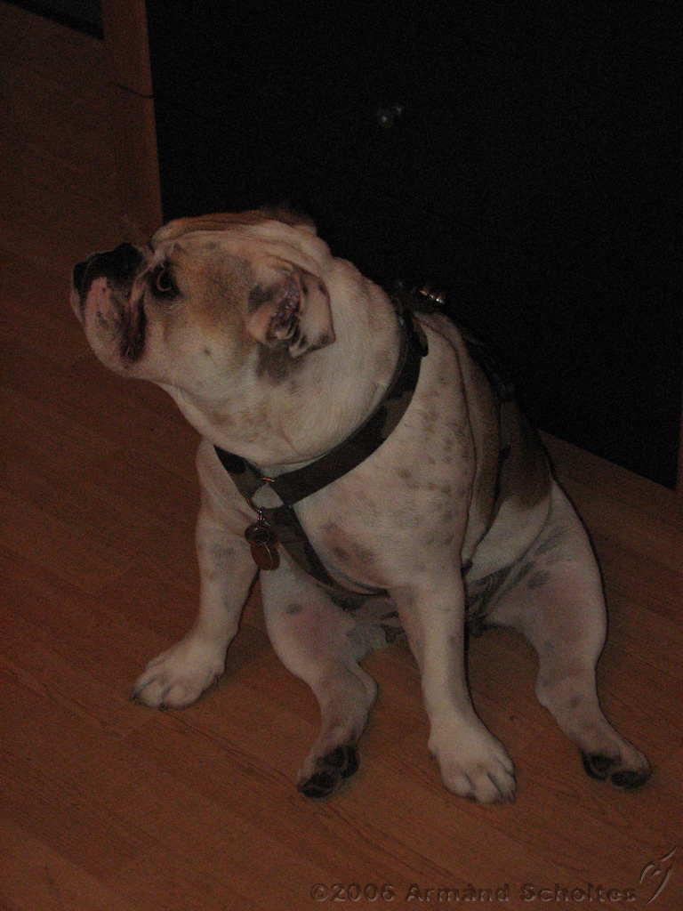 Wendy_-_Lucy_006.jpg